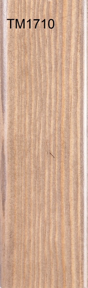 TM1710